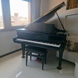 Pianoforte a coda