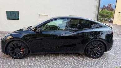 Tesla Model Y Performance