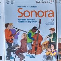 SONORA testo scuola.media di musica