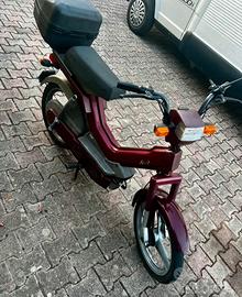 Moto d epoca Atala GREEN bimarcia Rizzato Moto e Scooter In vendita a Potenza