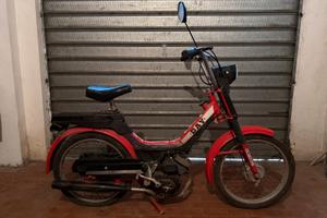 Peripoli DAY 50 "Fifty"