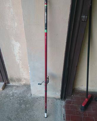 BOLOGNESE DAIWA MEGATOP 6