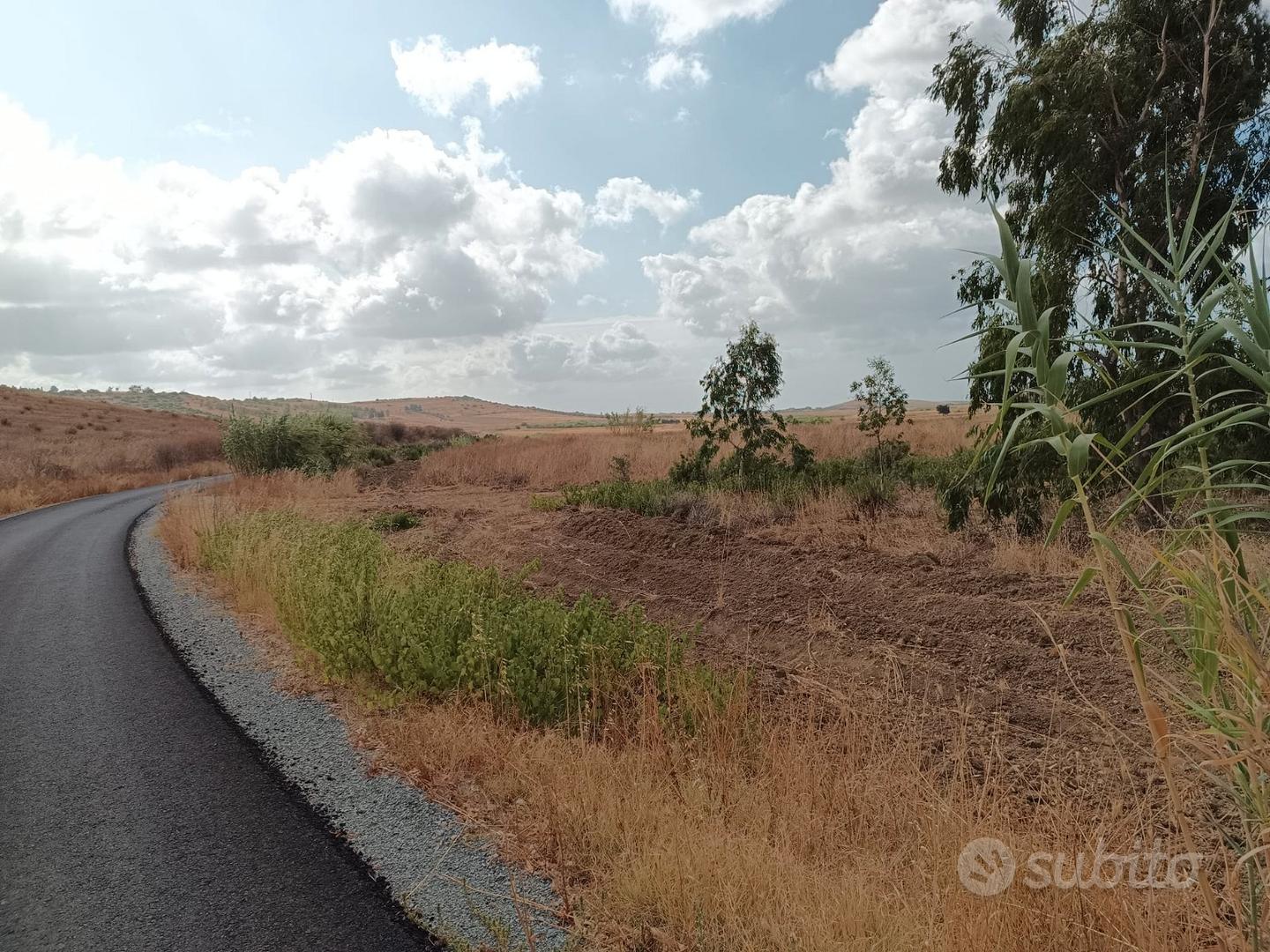 Terreno irriguo lungo strada asfaltata - Vista 2