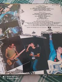 RAW Power After your brain lp