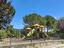 Immagine 24