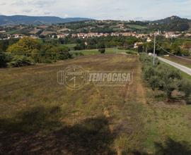 Terreno agricolo biologico di 4,2 ha con comodo ac