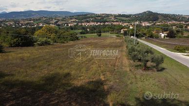 Terreno agricolo biologico di 4,2 ha con comodo ac