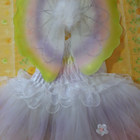 Vestitino Principessa delle fate 2-4 anni