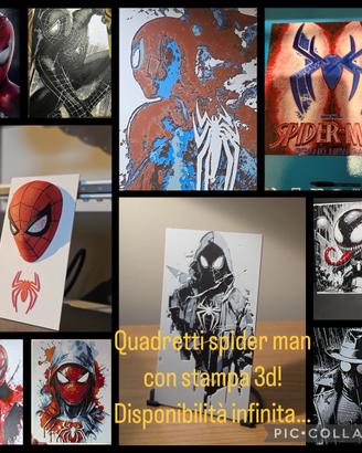 Stampe 3d spider man