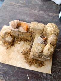 presepe ambiente 3 Thun 