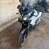 SUZUKI V STROM 1000 iscritta ASI
