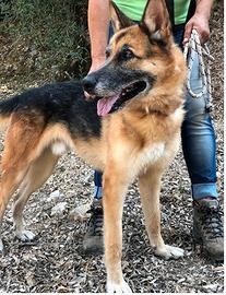 Sam 5 anni
