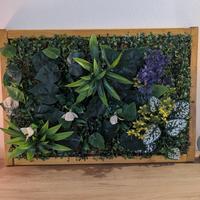 Giardino verticale Zen con cornice