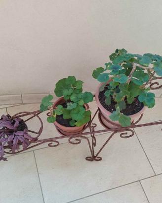 Carrello in ferro battuto per piante