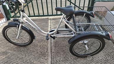 Triciclo CASADEI TR 20" Anno 2025