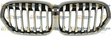griglia anteriore BMW X1