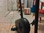 Immagine 1