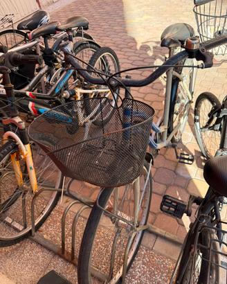Bici da citta