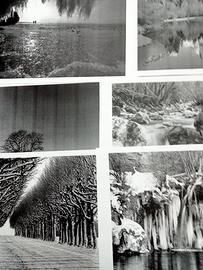 COLLEZIONE 27 STAMPE PAESAGGI INVERNALI/GATTI
