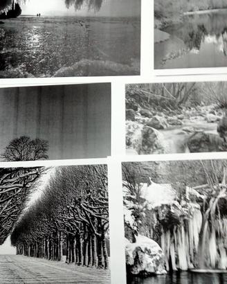 COLLEZIONE 27 STAMPE PAESAGGI INVERNALI/GATTI