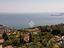 Immagine 12