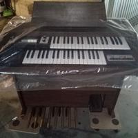 Organo