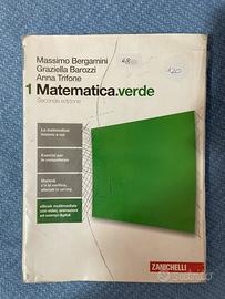 Libro: matematica verde 1