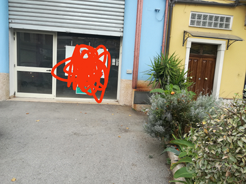 Locale commerciale 176mq Trinità di Sala Consilina