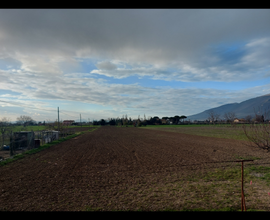 Vendesi terreno agricolo