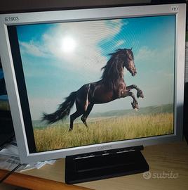 Monitor LCD Captiva (19 pollici)