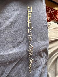 Alfa romeo dauphine scritta