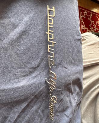 Alfa romeo dauphine scritta