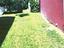 Immagine 27