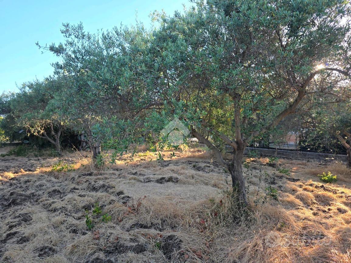 TER. AGRICOLO A CASTELDACCIA - Vista 5