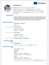 Aiuto cuoco, Aiuto pizzaiolo