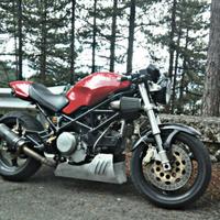 puntale per Ducati Monster old gen