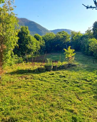 Terreno con rustico
