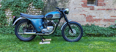 Triumph t100ss