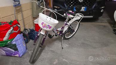 Bicicletta 20 pollici