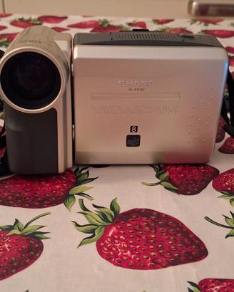 Videocamera analogica