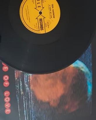 Lotto Vinile anni 90