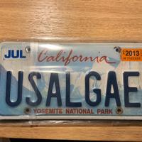 Targhe originali USA California & New York