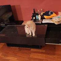 Mobile IKEA RAMVIK tavolino da soggiorno