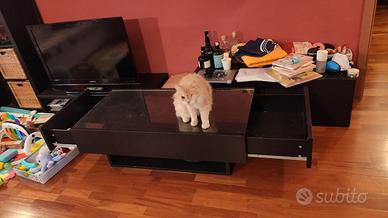 Mobile IKEA RAMVIK tavolino da soggiorno