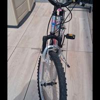 Bicicletta mountain bike bimba tg.24