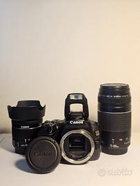 Canon EOS 250D + EF-S 18-55 IS STM + EF 75-300 III