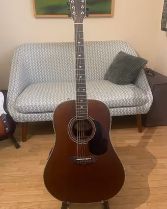 Washburn WSJ124K Vintage Series