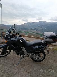 pegaso 650