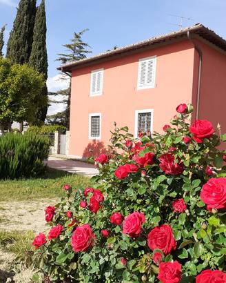 Agriturismo - casa vacanza
