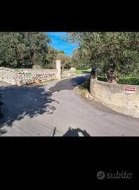 Terreno 8000mq prezzo in calo